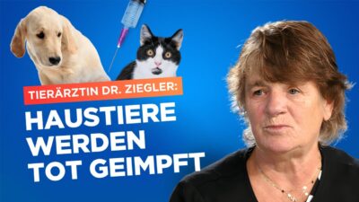 Mehr über den Artikel erfahren Alternativ-Tierärztin Dr. Jutta Ziegler: Haustiere werden tot geimpft!