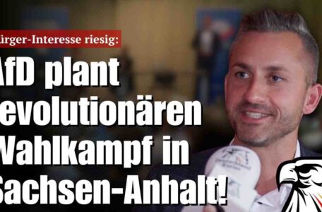 Bürger-Interesse riesig: AfD plant revolutionären Wahlkampf in Sachsen-Anhalt!
