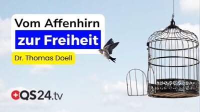 Mehr über den Artikel erfahren Das Affenhirn – Warum wir an Ketten festhalten, die es nicht mehr gibt | Sinn des Lebens | QS24