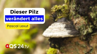 Mehr über den Artikel erfahren Die adaptogene Kraft des Zunderschwamms | Erfahrungsmedizin | QS24 Gesundheitsfernsehen