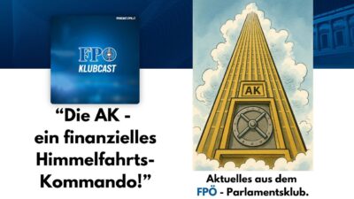 Mehr über den Artikel erfahren „Die Arbeiterkammer Österreich – ein finanzielles Himmelfahrts-Kommando!“
