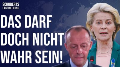 Mehr über den Artikel erfahren Diesen Wahnsinn MUSS JEDER BÜRGER erfahren!