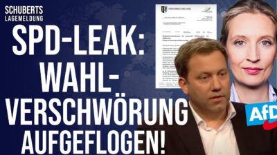 Mehr über den Artikel erfahren Eilt💥Unfassbare Enthüllungen💥SO manipuliert ein SPD-Netzwerk systematisch Wahlen! + Sprachverbote!