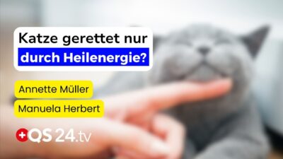 Mehr über den Artikel erfahren Energetisches Heilen: Wie eine kranke Katze durch Heilenergie gerettet wurde | QS24