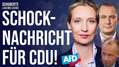Mehr über den Artikel erfahren Erste AfD-Regierung? 💥 Trump für AfD + „AfD-Regierung wäre kein historischer Dammbruch!“