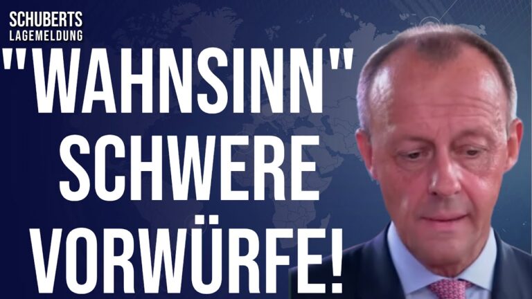 Mehr über den Artikel erfahren Kontrollverlust💥Skandal-Berater und Amateure sind Strippenzieher!💥AfD-Kritik an Merz: Neue Akzente!