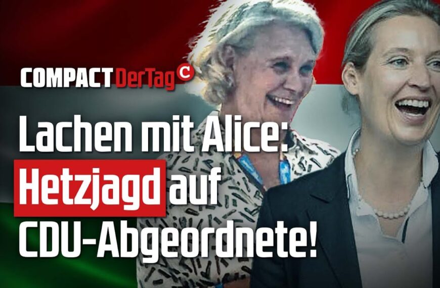 Lachen mit Alice: Hetzjagd auf CDU-Abgeordnete!💥