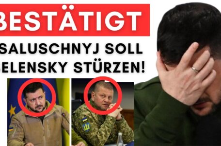 Neuwahlen bestätigt:  Wahlkampf-Team von Ex-Armee-Chef Saluschnyj vorgestellt!