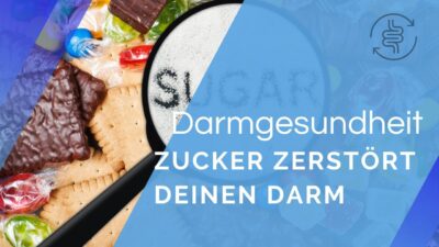 Mehr über den Artikel erfahren So greift Zucker Deinen Darm an – 3 Fakten, die Du kennen musst | André Blank – Vivoterra®