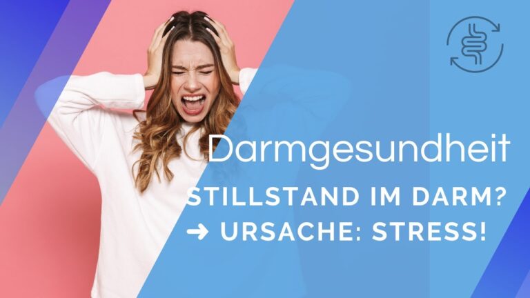 Mehr über den Artikel erfahren Stress = Stillstand in Deinem Darm | André Blank – Vivoterra®