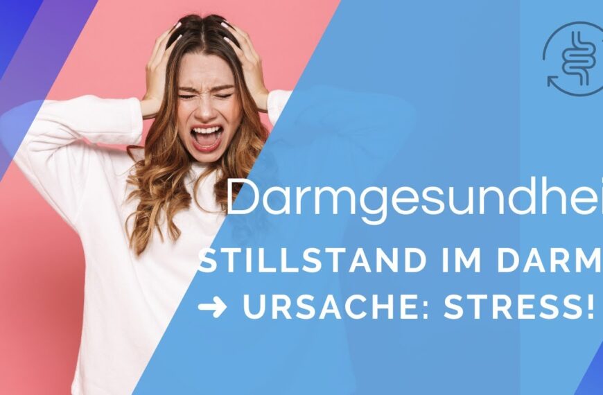 Stress = Stillstand in Deinem Darm | André Blank – Vivoterra®