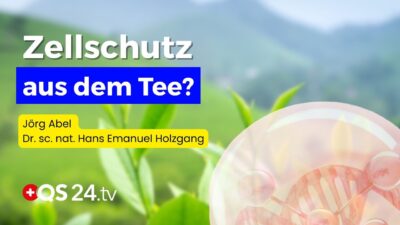 Mehr über den Artikel erfahren Zellschutz aus der Natur – Was in der Teepflanze wirklich steckt | Naturmedizin | QS24
