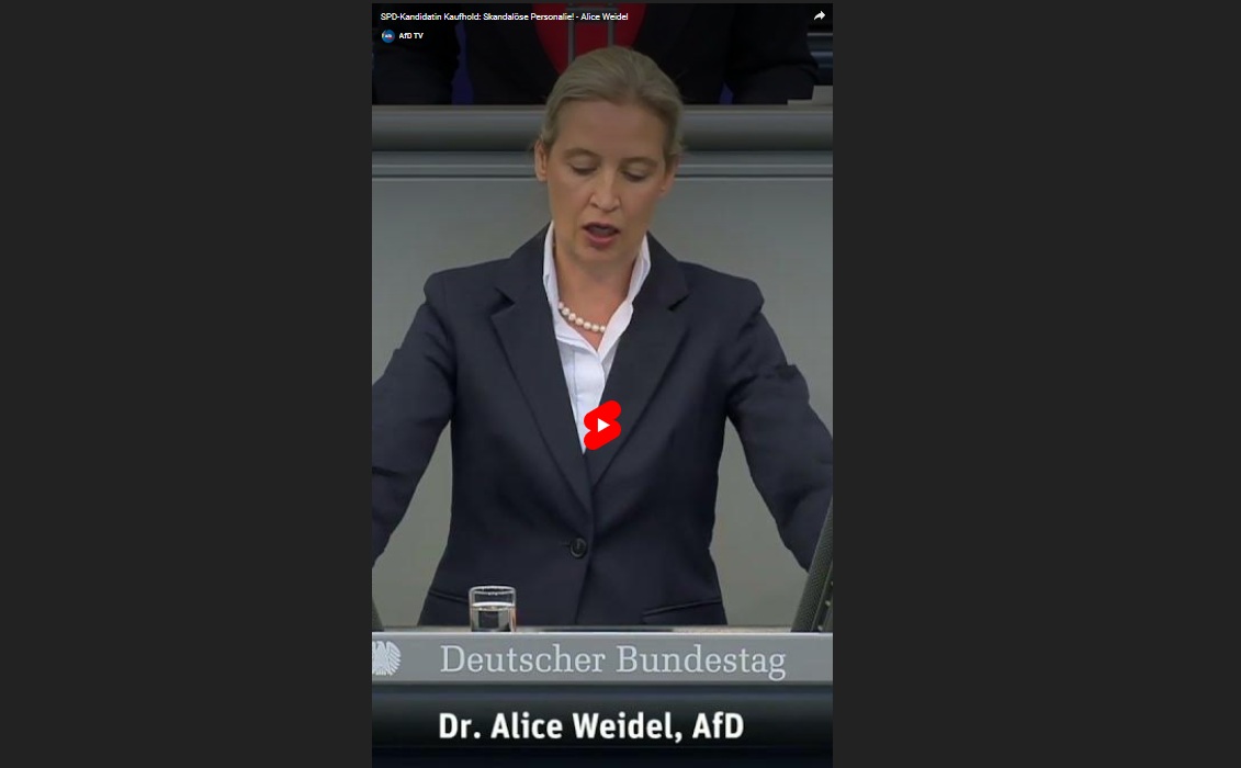SPD-Kandidatin Kaufhold: Skandalöse Personalie! – Alice Weidel