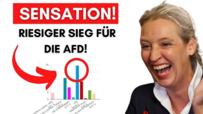 Mehr über den Artikel erfahren AfD gewinnt Integrationsratswahl: Nur Menschen mit Migrationshintergrund durften wählen!