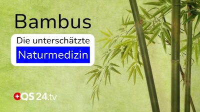 Mehr über den Artikel erfahren Bambus – der grüne Heiler für Haut, Zähne & Körper | Naturmedizin | QS24 Gesundheitsfernsehen