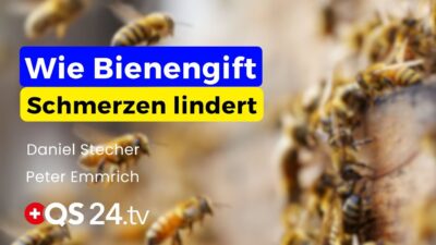 Mehr über den Artikel erfahren Bienengift in der Naturmedizin: Kleine Dosis, große Wirkung | FA Peter Emmrich | QS24