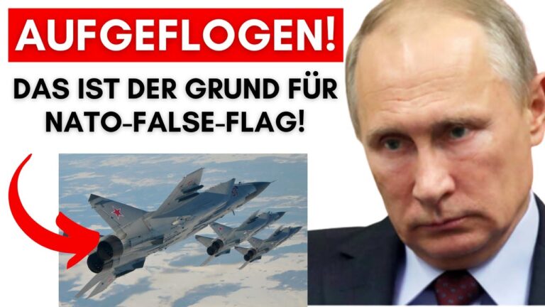 Mehr über den Artikel erfahren Brisantes Update zu Estland: UNFASSBARER GRUND für die Lüge über die Russen-Kampfjets!