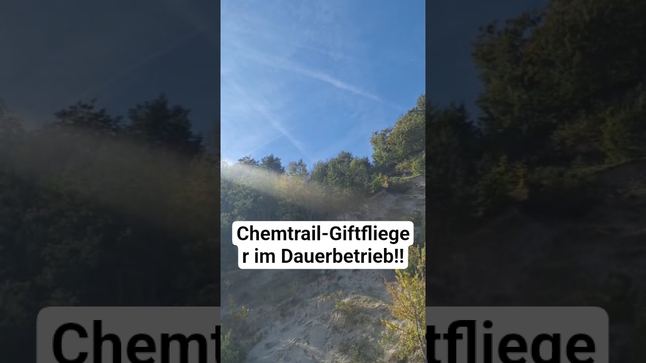 Chemtrail-Giftflieger im Dauerbetrieb‼️
