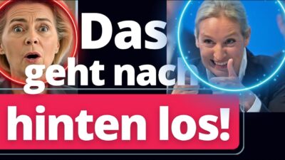 Mehr über den Artikel erfahren EU Gesetz scheitert krachend: AfD feiert, Altparteien verzweifeln!