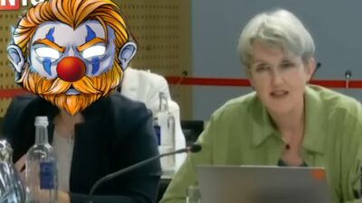 Mehr über den Artikel erfahren Clownswelt: ICH war Thema im ZDF-Fernsehrat