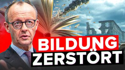 Mehr über den Artikel erfahren Krall & Bubeck: Migration, Bildung & IQ-Verlust – Zukunft verspielt