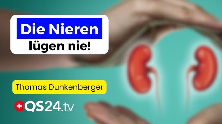 Mehr über den Artikel erfahren Sexualität, Knochen & Fruchtbarkeit: Wie Die Nieren dein Leben steuern | Erfahrungsmedizin | QS24