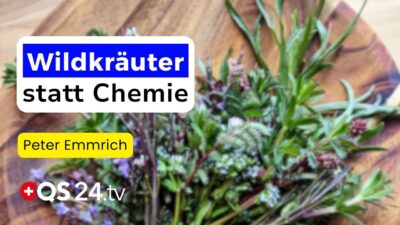 Mehr über den Artikel erfahren Wildkräuter statt Chemie: 20 Tinkturen, die über 300 Symptome lindern können | Naturmedizin | QS24