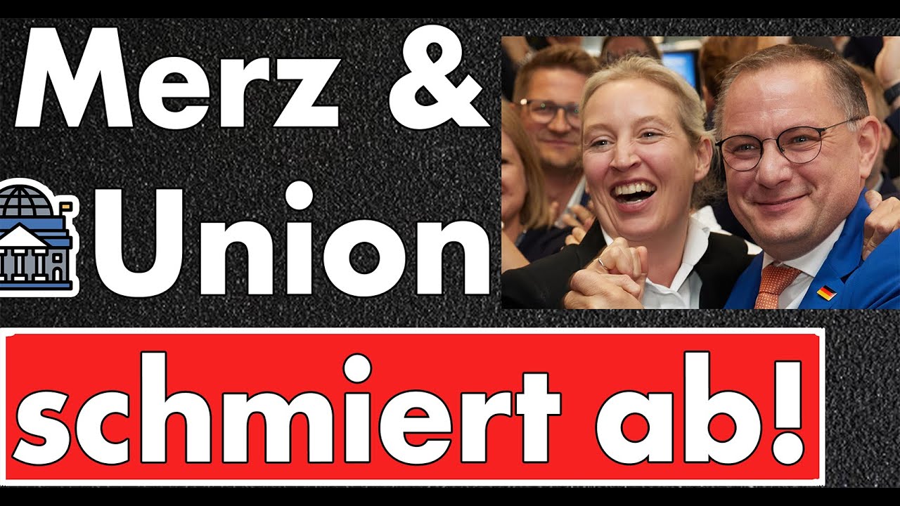 Wirtschaft im Sinkflug, Umfragen im Keller & AfD im Aufwind – Sie kapieren’s nicht!