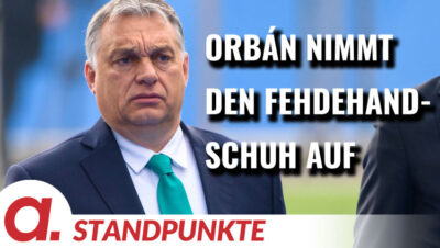 Mehr über den Artikel erfahren „Brief aus Budapest #2“: Orbán nimmt den Fehdehandschuh auf | Von Gábor Stier