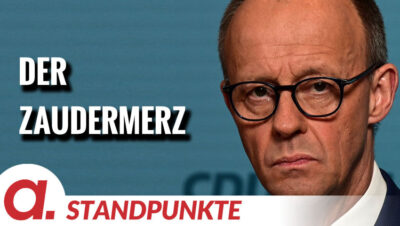 Mehr über den Artikel erfahren Der Zaudermerz | Von Anna Zollner