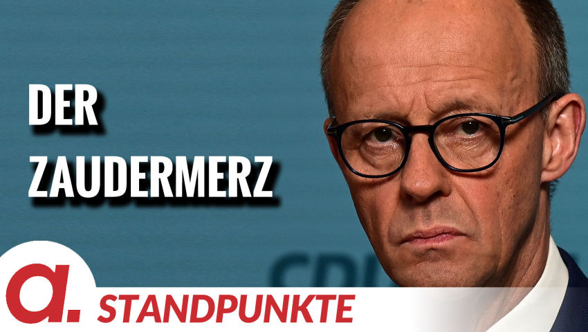 Der Zaudermerz | Von Anna Zollner