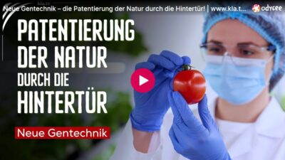 Mehr über den Artikel erfahren Neue Gentechnik – die Patentierung der Natur durch die Hintertür!