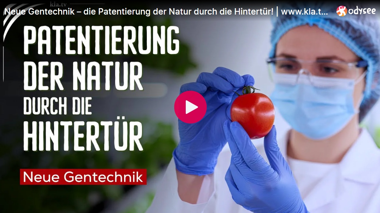 Mehr über den Artikel erfahren Neue Gentechnik – die Patentierung der Natur durch die Hintertür!