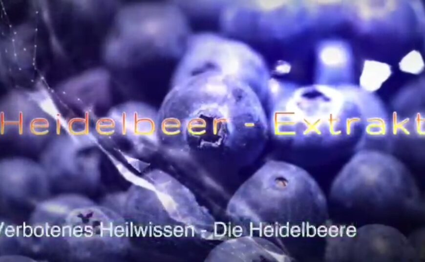 NUR DIESES WOCHENENDE : WILDHEIDELBEER-EXTRAKT AUS SKANDINAVIEN –mit 30% Rabatt !