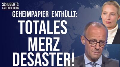 Mehr über den Artikel erfahren CDU ruft zum Endkampf auf💥Mordaufruf gegen Alice Weidel💥Merz eskaliert gegen „faule Deutsche“