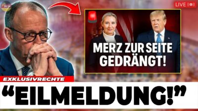 Mehr über den Artikel erfahren Trump trifft Weidel in BUDAPEST!