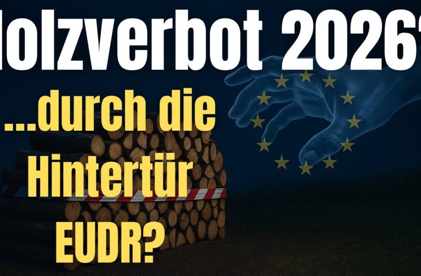 Holzverbot 2026? Was steckt wirklich hinter der EUDR? Was das Gesetz für Brennholz und dich bedeutet