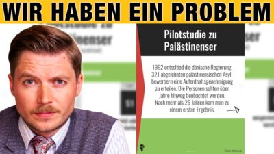 Mehr über den Artikel erfahren Migrantengewalt in Deutschland, Palästinenser-Studie in Dänemark – Ist Remigration die Lösung?