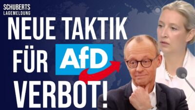 Mehr über den Artikel erfahren Perfider Plan💥Politik-Kartell in Panik agiert völlig skrupellos💥Skandal: CDU&Antifa💥Desaster für SPD