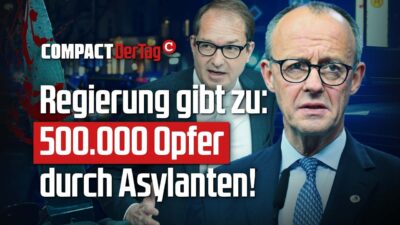Mehr über den Artikel erfahren Regierung gibt zu: 500.000 Opfer durch Asylanten!💥