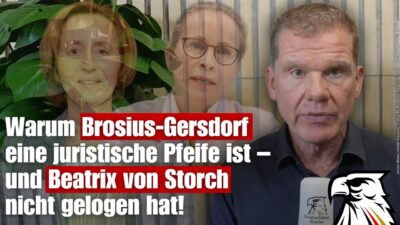 Mehr über den Artikel erfahren Warum Brosius-Gersdorf eine juristische Pfeife ist – und Beatrix von Storch nicht gelogen hat!