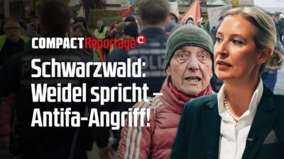 Mehr über den Artikel erfahren Weidel spricht, Antifa greift an! AfD vor Landtagswahl