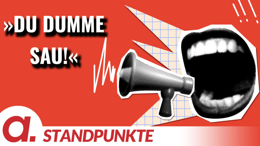 »Du dumme Sau!« | Von Tom-Oliver Regenauer