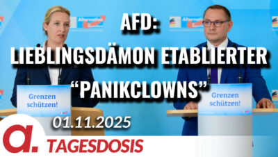 Mehr über den Artikel erfahren Die etablierten „Panikclowns“ und ihr Lieblingsdämon, die AfD | Von Janine Beicht
