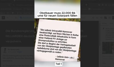 Mehr über den Artikel erfahren Über 22.000 gesunde Bäume roden, für eine Freiflächen-Solaranlage