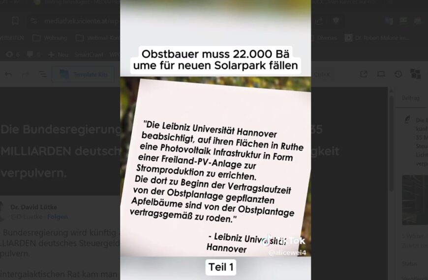 Über 22.000 gesunde Bäume roden, für eine Freiflächen-Solaranlage