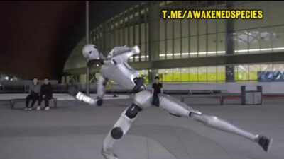 Mehr über den Artikel erfahren Wenn die Maschine erwacht