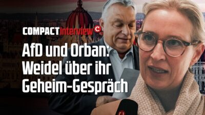 Mehr über den Artikel erfahren AfD und Orban: Weidel über ihr Geheim-Gespräch!