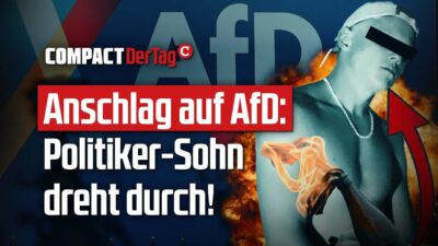 Mehr über den Artikel erfahren Anschlag auf AfD: Politiker-Sohn dreht durch!💥