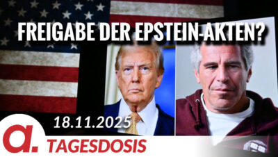 Mehr über den Artikel erfahren Freigabe der Epstein-Akten? | Von Claudia Töpper